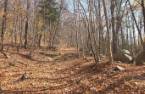 Terre à bois