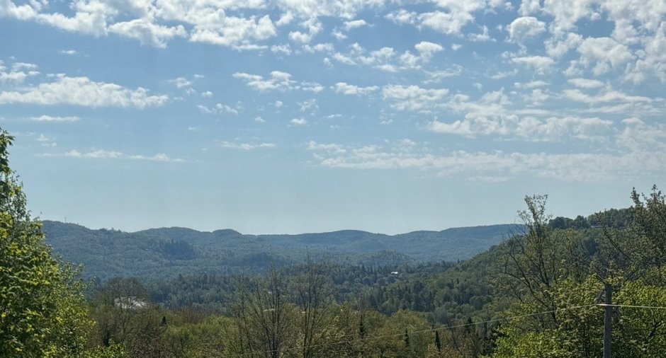 Vue