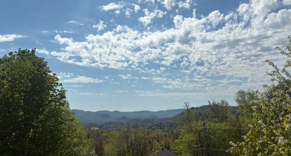 Vue