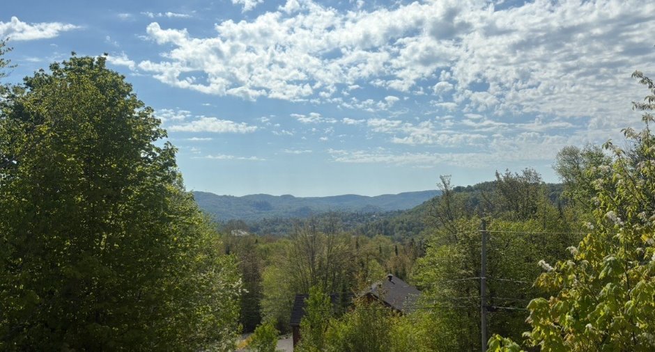 Vue