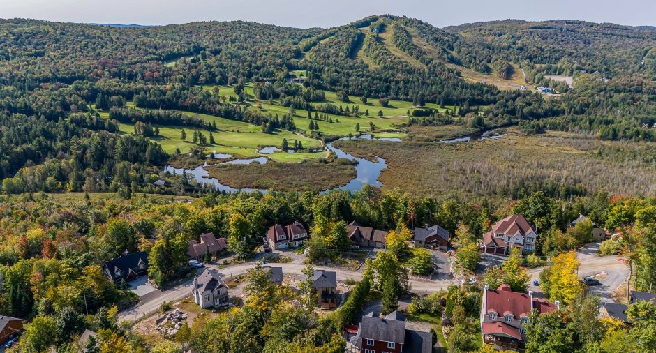 Vue