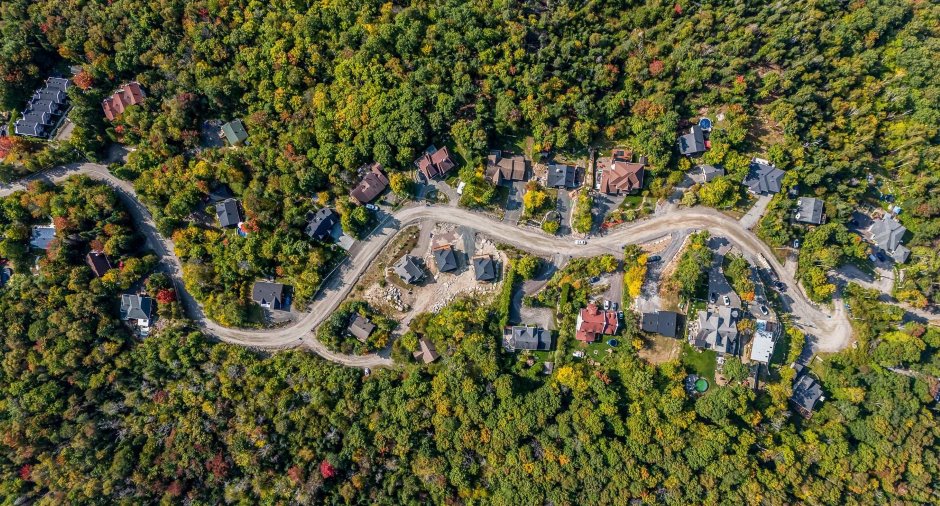 Vue