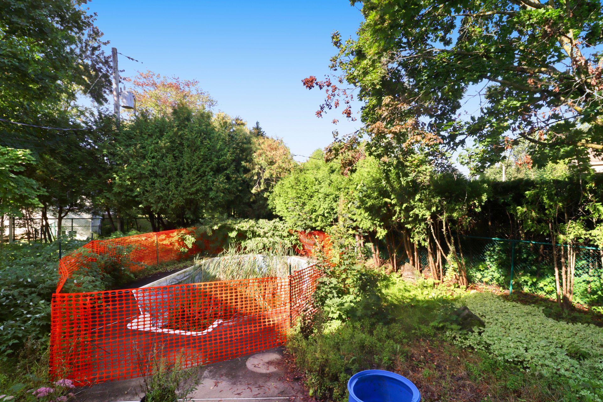 Backyard