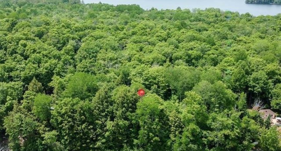 Land/Lot