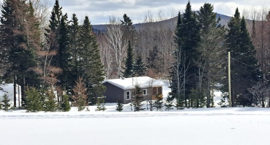 Vue d'ensemble