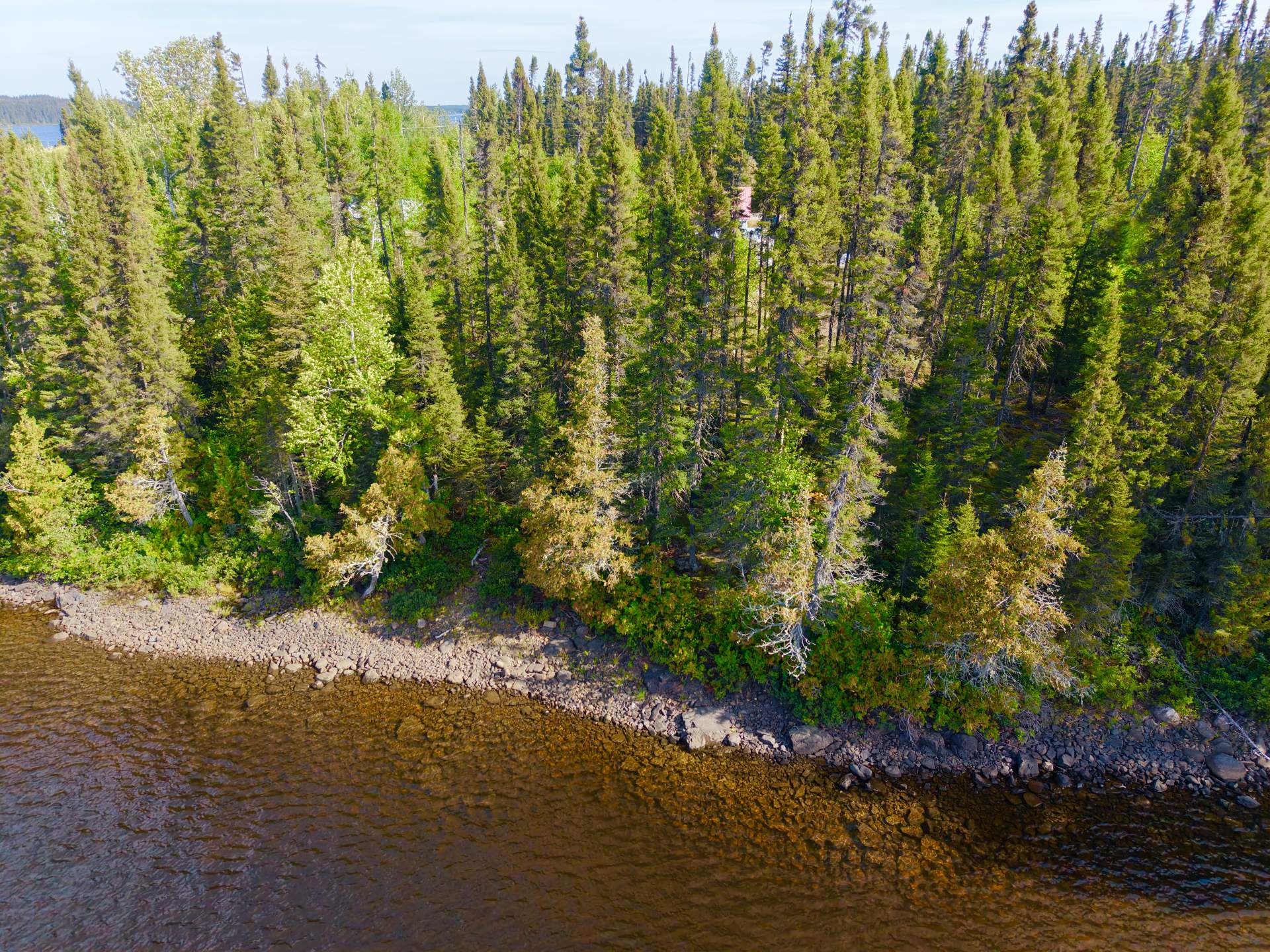 65 Ch. du Lac-Opémisca — photo 2