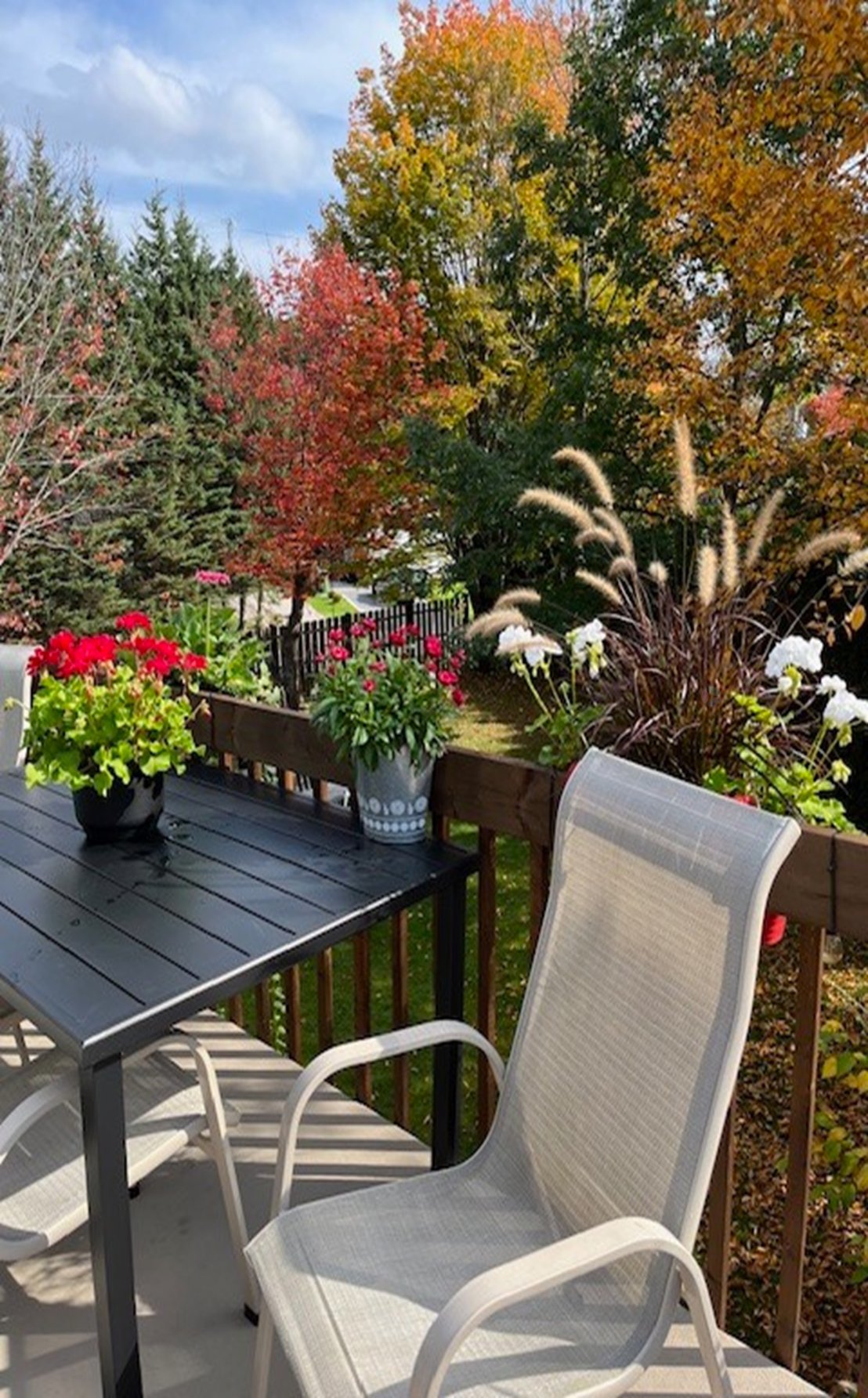 Terrasse