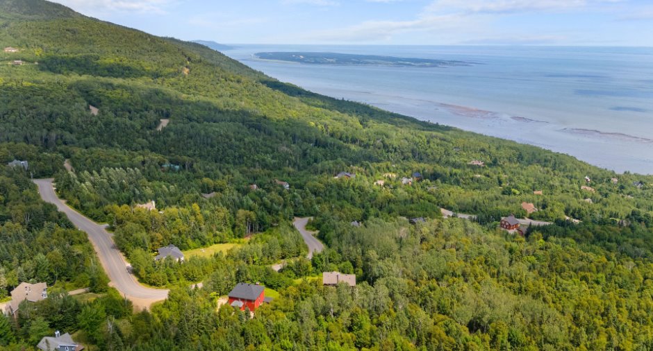 Vue