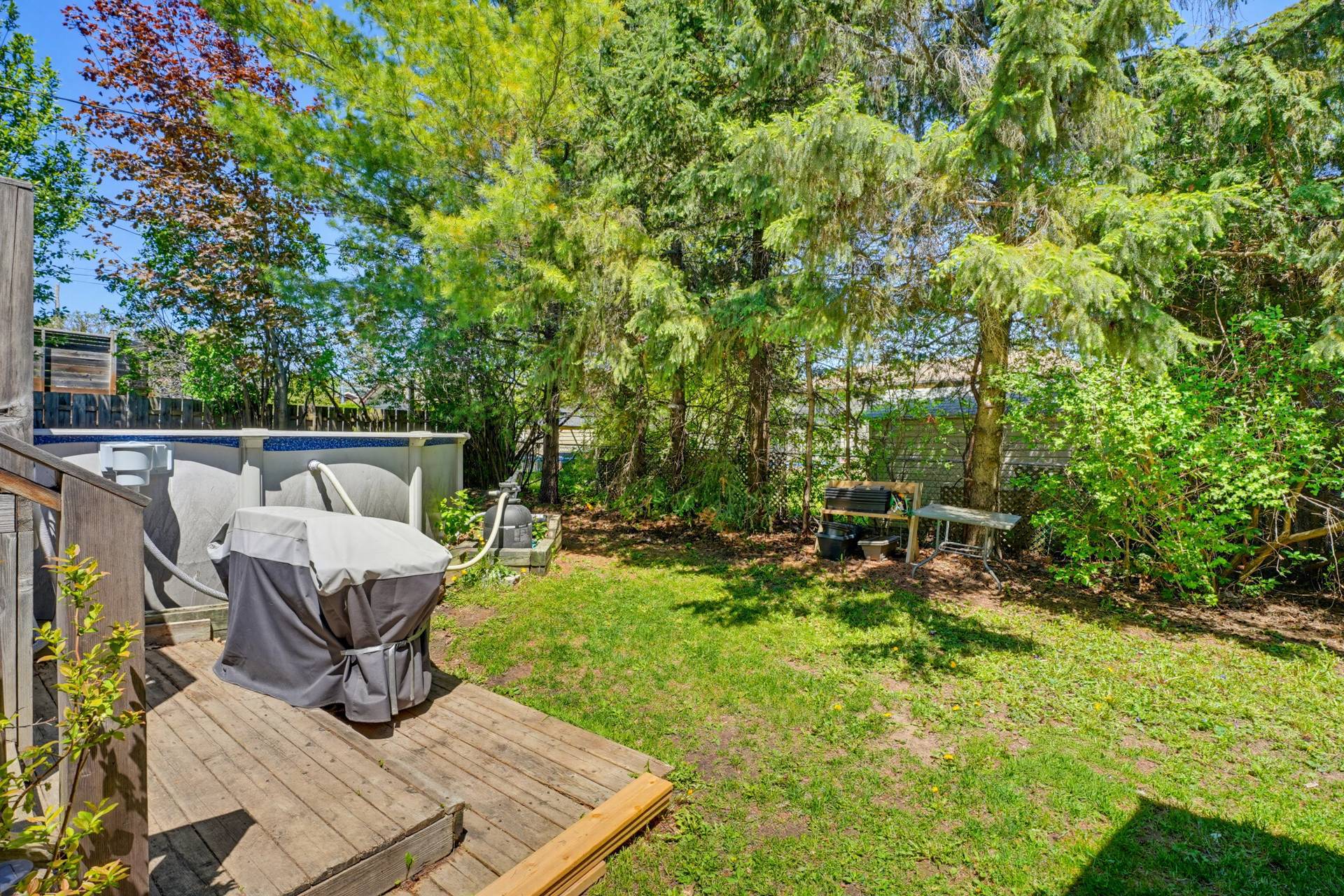 Backyard