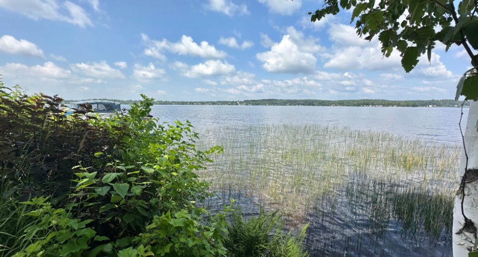 Accès au plan d'eau