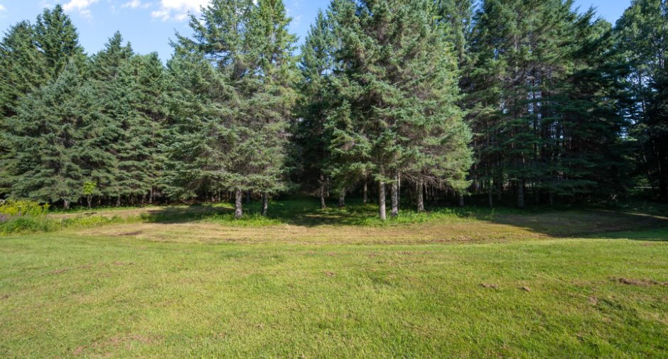 Wooded area