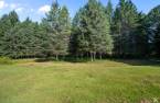 Wooded area