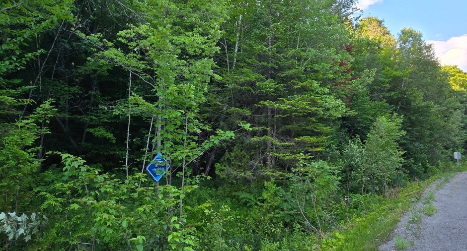 Terre/Terrain