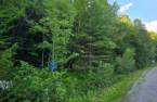 Terre/Terrain