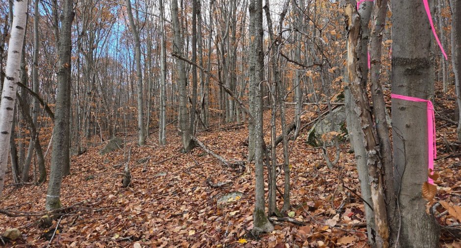 Terre/Terrain