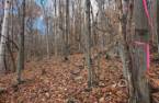 Terre/Terrain