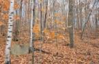 Terre/Terrain