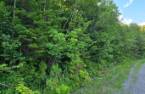 Terre/Terrain