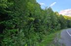 Terre/Terrain