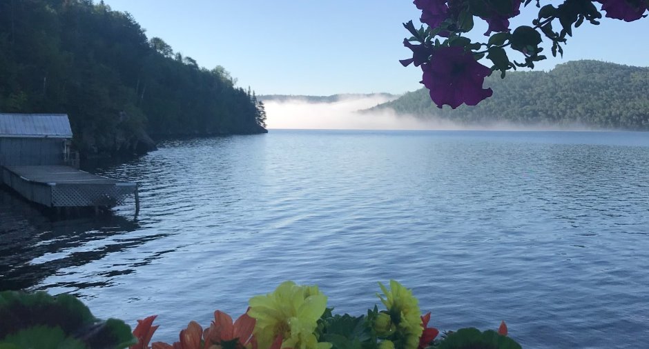 Vue sur l'eau