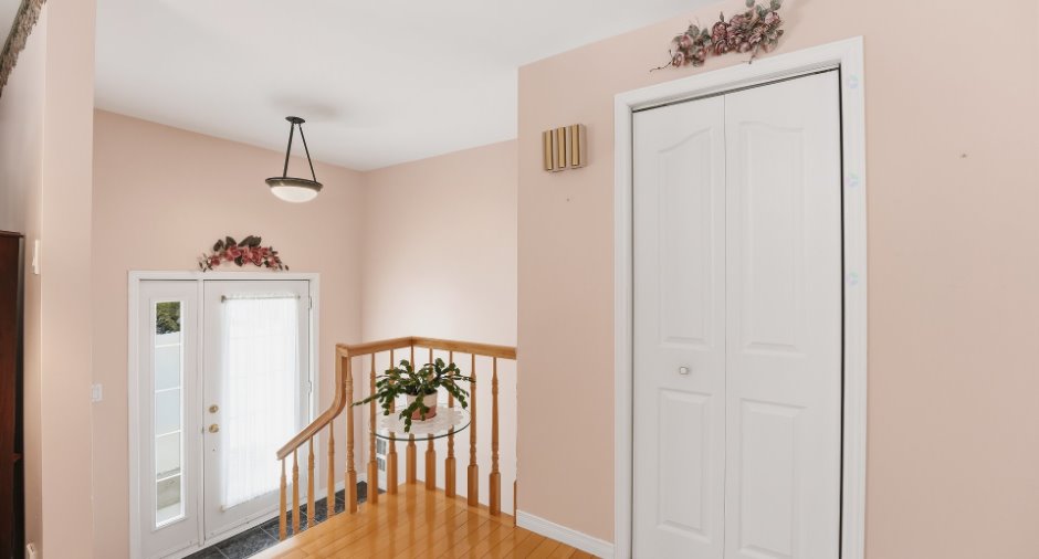 Hall d’entrée/Vestibule