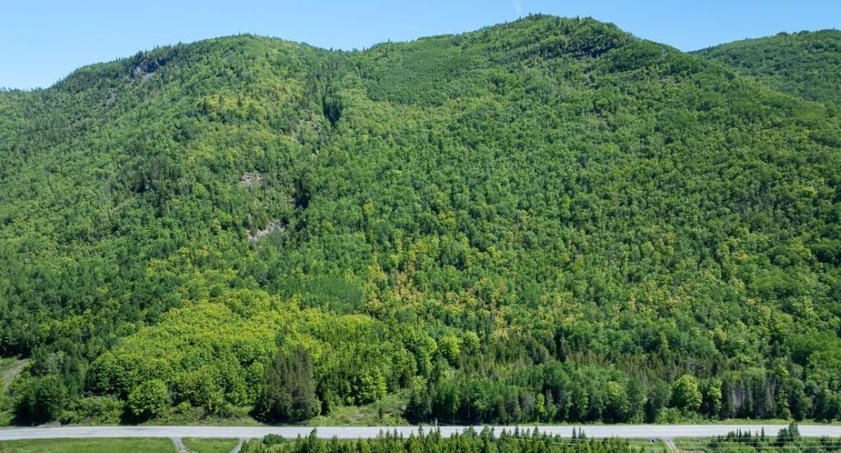 Terre/Terrain