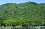 Terre/Terrain
