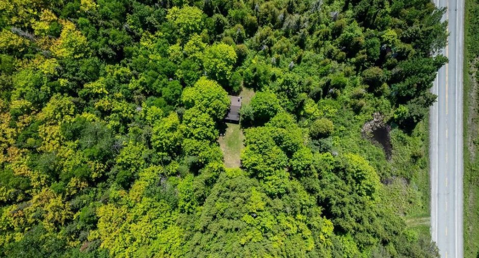 Terre/Terrain