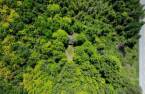 Terre/Terrain