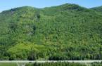 Terre/Terrain