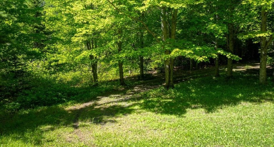 Terre/Terrain