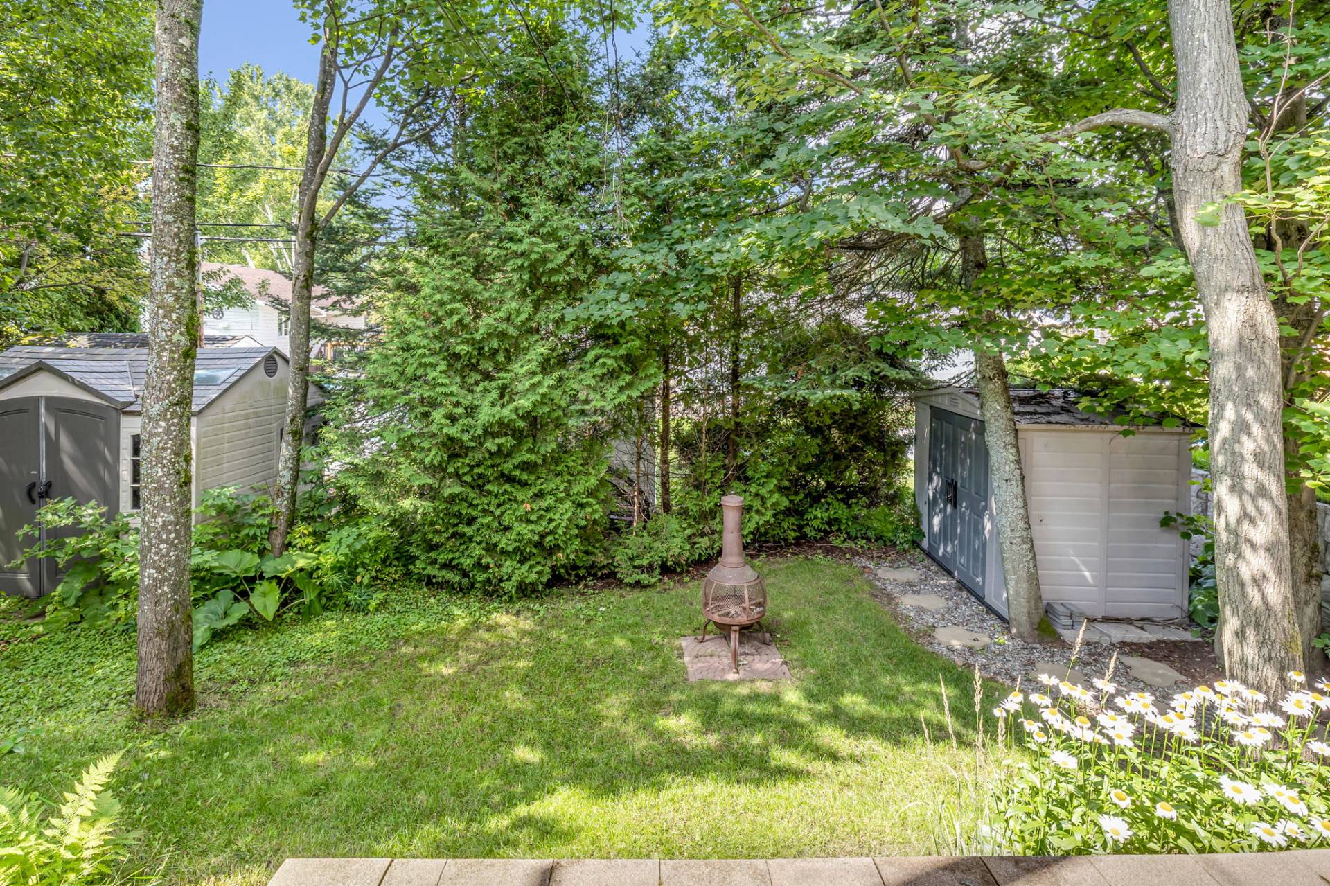 4021 Rue de la Pinède — photo 2