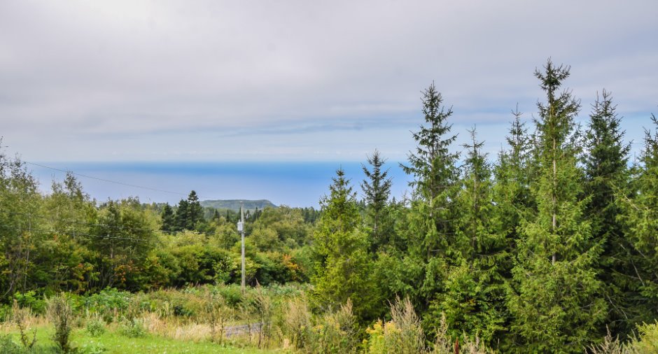 Vue d'ensemble