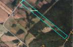 Terre/Terrain