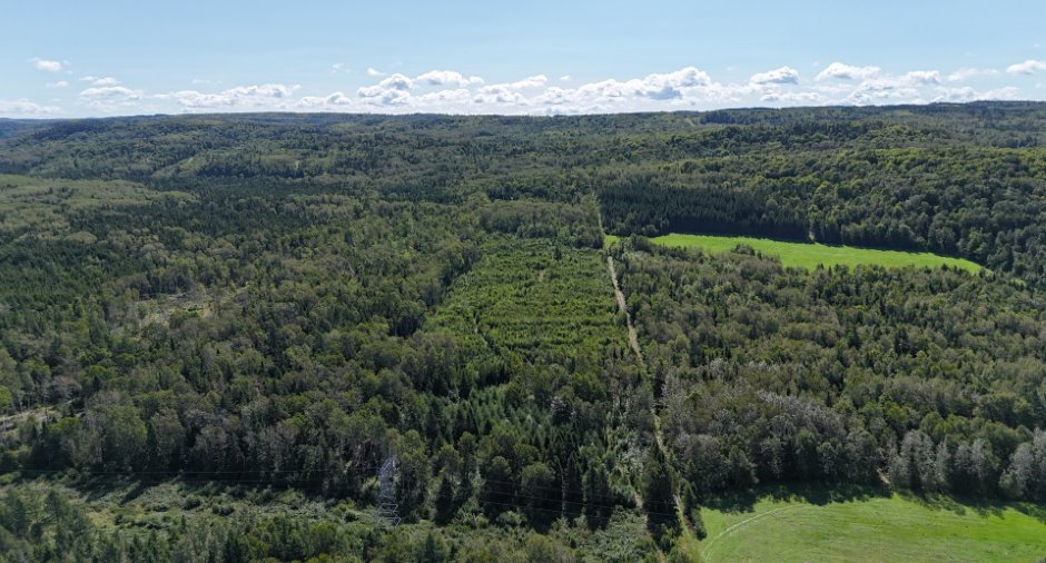 Terre/Terrain