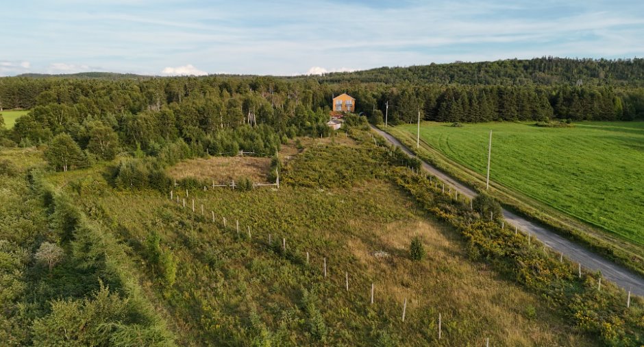 Terre/Terrain