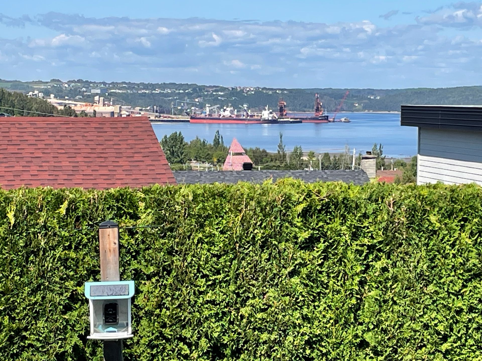 Vue