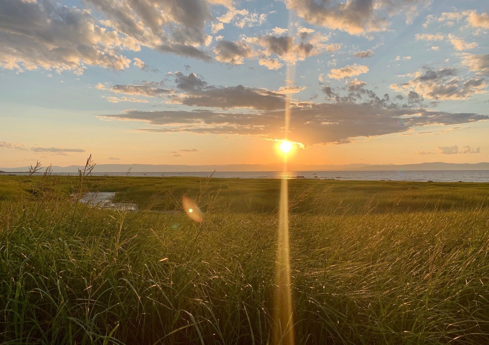 Terrain à vendre, Saint-Roch-des-Aulnaies