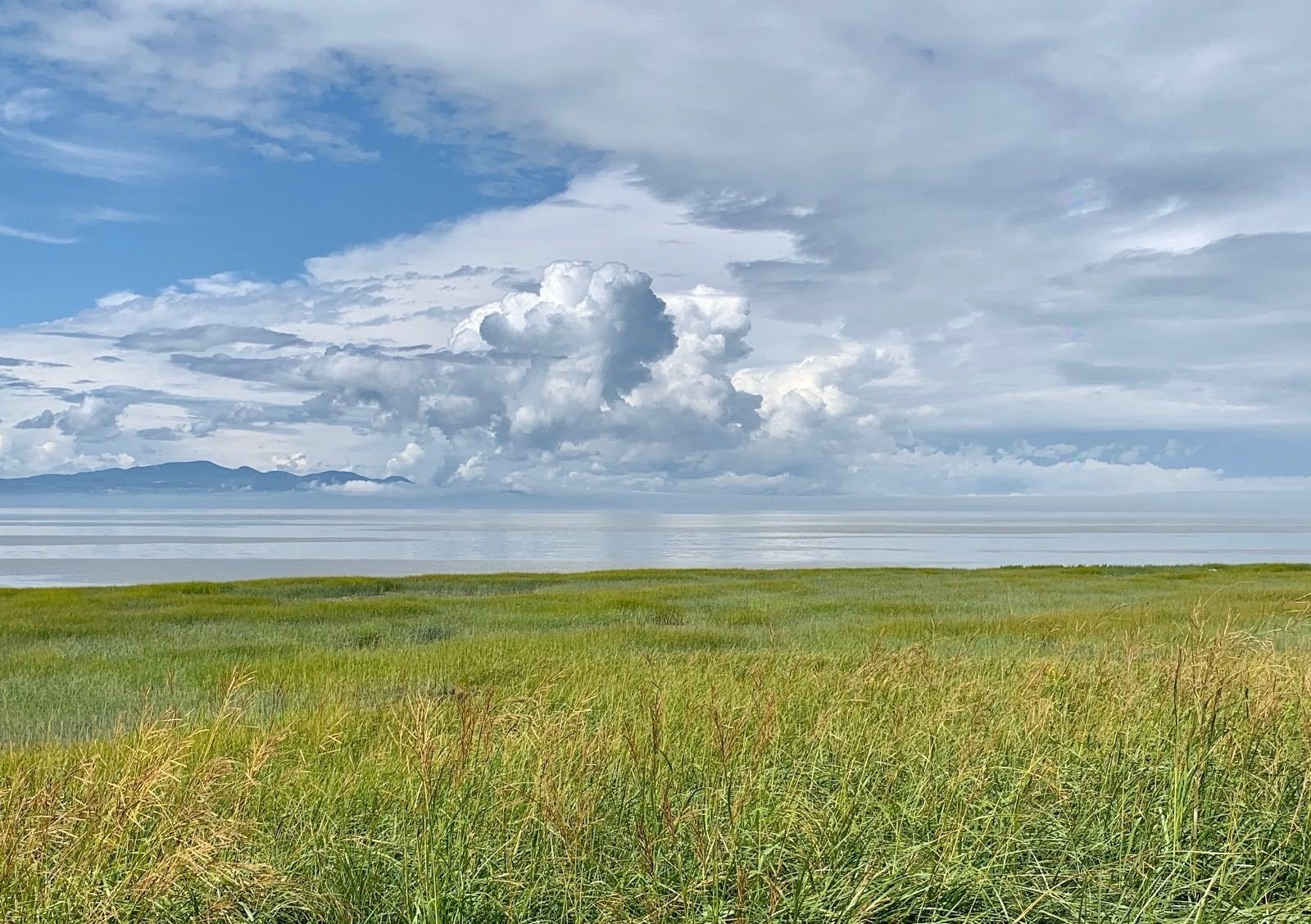 Vue sur l'eau