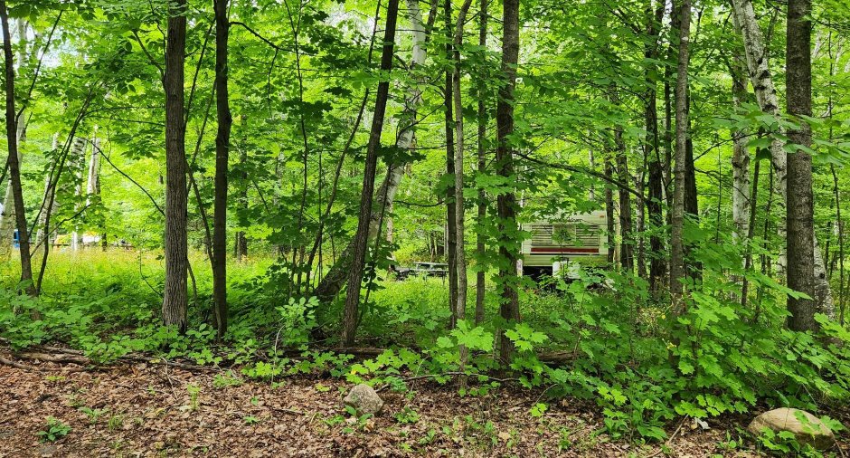Terre/Terrain