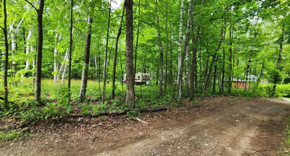 Terre/Terrain