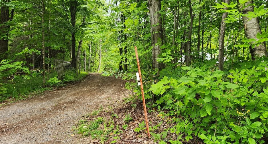 Terre/Terrain