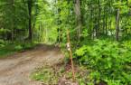 Terre/Terrain