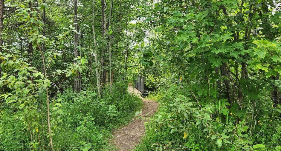 Terre/Terrain
