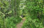 Terre/Terrain