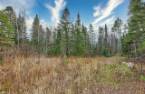 Terre/Terrain