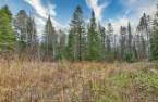 Terre/Terrain