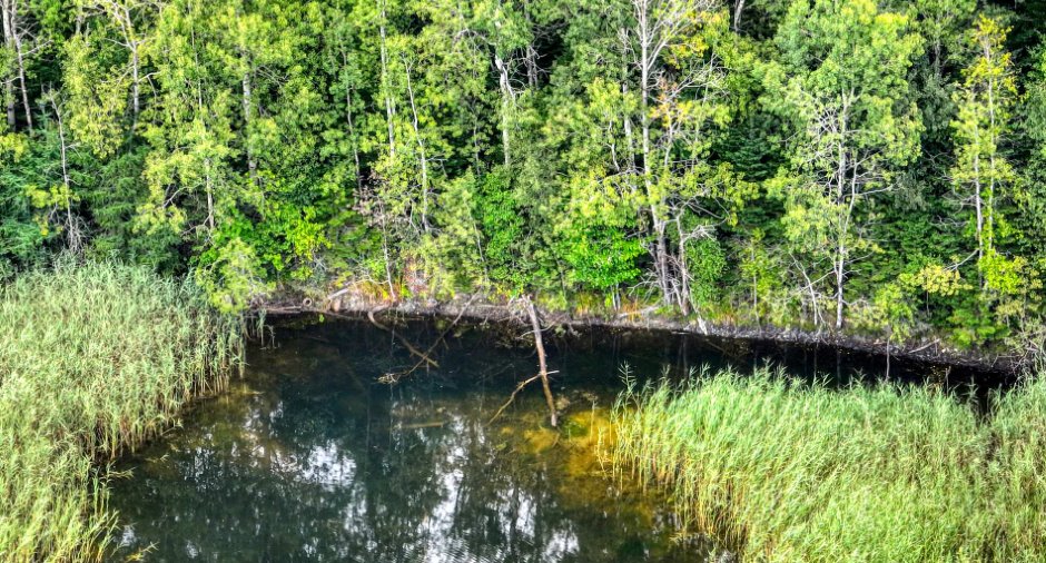 Accès au plan d'eau