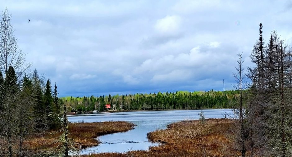 Vue sur l'eau