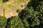 Terre/Terrain